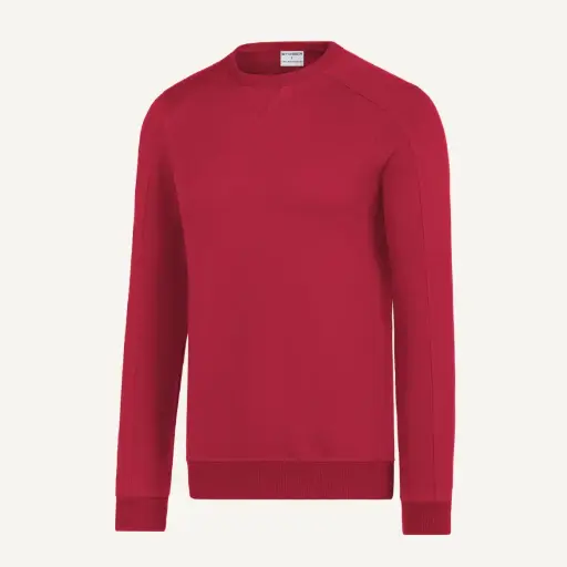 Sweatshirt # ST-333